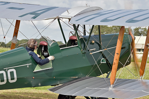 500 Pixel Width Green Moth Cockpit Close up